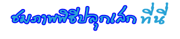 พิธีปลุกเสก