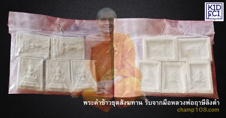 พระคำข้าวรับจากมือหลวงพ่อฤาษีลิงดำ (ชุดสังฆทาน)