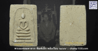 พระมงคลมหาลาภคุณแม่บุญเรือน