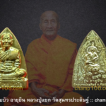 เหรียญเตารีด รุ่นอายุยืน หลวงปู่แขก ปภาโส