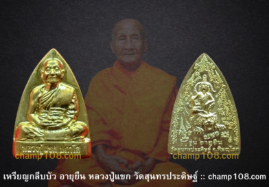 เหรียญเตารีด รุ่นอายุยืน หลวงปู่แขก ปภาโส