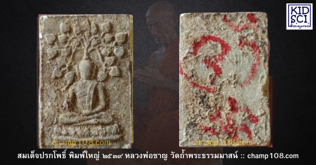 สมเด็จปรกโพธิ์ หลวงพ่อชาญ