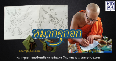 หมากจุกอก ของดีที่หลวงพ่อแดง วัดบางทราย เมตตาทำให้ครูแชมป์