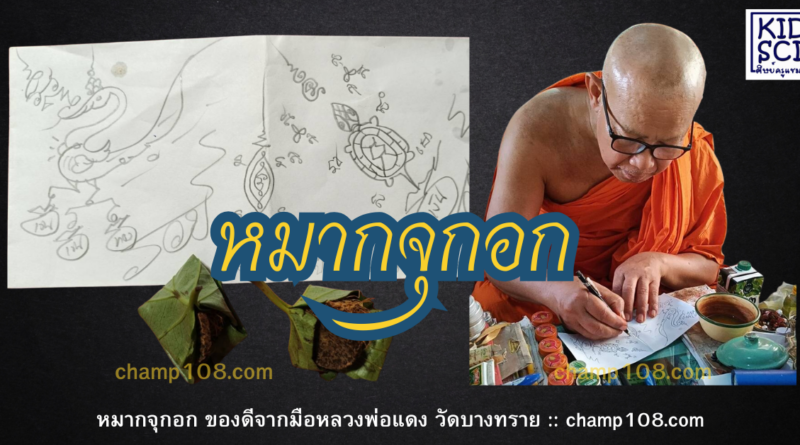 หมากจุกอก ของดีที่หลวงพ่อแดง วัดบางทราย เมตตาทำให้ครูแชมป์