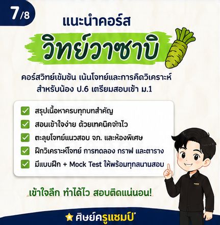 แนะนำวิธีวางแผนเตรียมตัวสอบเข้า ม.1 โรงเรียนชั้นนำในพิษณุโลก (จภ., พ.พ., ฉส.) ต้องเตรียมตัวอย่างไร? อ่านวิชาไหนก่อน? พร้อมเทคนิคการเลือกที่เรียนพิเศษติวสอบเข้า ม.1